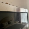 https://cdn-ostrovok-ru-ion.test.edgekey.net/t/100x100/hotel_review/f0/78/f0789965244575726835720ba832435a7af739c5.JPEG