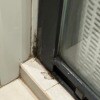 https://cdn-ostrovok-ru-ion.test.edgekey.net/t/100x100/hotel_review/f0/8f/f08feaa47e679ec1508bfd6b4633fee8501b81b6.jpeg
