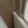 https://cdn-ostrovok-ru-ion.test.edgekey.net/t/100x100/hotel_review/f0/95/f095c0bac73e6a2b41fb58b0762dc752f11238f7.JPEG