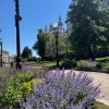 https://cdn-ostrovok-ru-ion.test.edgekey.net/t/100x100/hotel_review/f0/d6/f0d64e3ec7d7f155da049b5a96ae1a075883dc96.JPEG