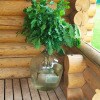 https://cdn-ostrovok-ru-ion.test.edgekey.net/t/100x100/hotel_review/f0/db/f0db587372a01615705a37ef15c682301041cf2b.JPEG