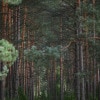 https://cdn-ostrovok-ru-ion.test.edgekey.net/t/100x100/hotel_review/f1/3e/f13e74efdc7a88025de277fdc659f15d526a61c5.JPEG