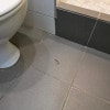 https://cdn-ostrovok-ru-ion.test.edgekey.net/t/100x100/hotel_review/f1/55/f155b85b9c3cb0b4167bcc7505ee09566d276789.JPEG