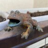 https://cdn-ostrovok-ru-ion.test.edgekey.net/t/100x100/hotel_review/f1/5b/f15b420664122ea3cd63341b0a71f51434f280d7.JPEG