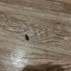https://cdn-ostrovok-ru-ion.test.edgekey.net/t/100x100/hotel_review/f1/5d/f15d300711e24b586e9afbc7a0ce06b1bcb035ad.JPEG