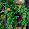 https://cdn-ostrovok-ru-ion.test.edgekey.net/t/100x100/hotel_review/f1/82/f182823ce4b5ef0570eff7a1101aaf2928fbe6fe.JPEG