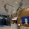 https://cdn-ostrovok-ru-ion.test.edgekey.net/t/100x100/hotel_review/f1/b0/f1b007868c433116deb6151d1e15402bb0b607b8.JPEG
