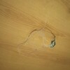 https://cdn-ostrovok-ru-ion.test.edgekey.net/t/100x100/hotel_review/f2/64/f2648b04604359750ff48bc68e26ab7ddba94d7e.jpeg