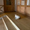https://cdn-ostrovok-ru-ion.test.edgekey.net/t/100x100/hotel_review/f2/8d/f28d64616974ab3bedd983539480300c4ff97ef6.jpeg