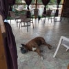 https://cdn-ostrovok-ru-ion.test.edgekey.net/t/100x100/hotel_review/f2/d0/f2d08f9fb799dce9f5df58f0984b35d595d4f5e1.JPEG