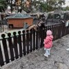 https://cdn-ostrovok-ru-ion.test.edgekey.net/t/100x100/hotel_review/f2/f6/f2f65b46910b2b7eb6a31af7f913bade4ac45b8e.jpeg