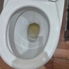 https://cdn-ostrovok-ru-ion.test.edgekey.net/t/100x100/hotel_review/f3/0d/f30d27aeb599d48352932909eb715c2a3b3a5b4f.JPEG