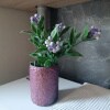 https://cdn-ostrovok-ru-ion.test.edgekey.net/t/100x100/hotel_review/f3/26/f326ef7270299874f8e5124857beefe8b7cc82f7.jpeg