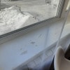 https://cdn-ostrovok-ru-ion.test.edgekey.net/t/100x100/hotel_review/f3/39/f339f00dd172a46bda7f93aaf3f1c4e31e6743fe.JPEG