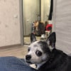 https://cdn-ostrovok-ru-ion.test.edgekey.net/t/100x100/hotel_review/f3/41/f341d4a1fa095524f93bdd6166a1d510a041ec2e.JPEG