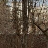 https://cdn-ostrovok-ru-ion.test.edgekey.net/t/100x100/hotel_review/f3/7e/f37ebf56d1c286e875ee3912f6e080e344a9c171.JPEG