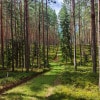 https://cdn-ostrovok-ru-ion.test.edgekey.net/t/100x100/hotel_review/f3/cb/f3cb878e688054ae329d35591ff17133f5db9102.JPEG
