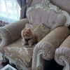 https://cdn-ostrovok-ru-ion.test.edgekey.net/t/100x100/hotel_review/f4/1c/f41cf064a407a8af54c1a290dfec635b5fe5b626.JPEG