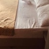 https://cdn-ostrovok-ru-ion.test.edgekey.net/t/100x100/hotel_review/f4/3a/f43a93f8452ced228b029f53426abd60d2c2c92d.JPEG