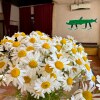 https://cdn-ostrovok-ru-ion.test.edgekey.net/t/100x100/hotel_review/f4/60/f4601cb60e566e46df6e51716dee3d8f6213bb89.JPEG