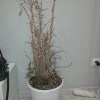 https://cdn-ostrovok-ru-ion.test.edgekey.net/t/100x100/hotel_review/f4/bb/f4bbdc60e833384bfbb4aecd85ed9dbde566673c.JPEG