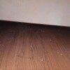https://cdn-ostrovok-ru-ion.test.edgekey.net/t/100x100/hotel_review/f4/fc/f4fc69fa9db16c30299f4c8c5387cabb8877a0e7.JPEG