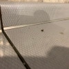 https://cdn-ostrovok-ru-ion.test.edgekey.net/t/100x100/hotel_review/f5/17/f517e02f95620995f42dd0ae590cb551b5bc8873.jpeg
