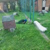 https://cdn-ostrovok-ru-ion.test.edgekey.net/t/100x100/hotel_review/f5/36/f5368f7b89781f68f6f2d8aa49d1f6d70ac6c283.JPEG