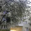 https://cdn-ostrovok-ru-ion.test.edgekey.net/t/100x100/hotel_review/f5/37/f537f4f79e17e6f74809baf5d843731a496542f7.JPEG