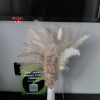 https://cdn-ostrovok-ru-ion.test.edgekey.net/t/100x100/hotel_review/f5/53/f5538e4c0e5cffe8489ced12e60ffa8d76152523.JPEG