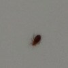 https://cdn-ostrovok-ru-ion.test.edgekey.net/t/100x100/hotel_review/f5/63/f563fcf35d17e9adc23c23cdf2164d0ae59fb984.JPEG