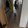 https://cdn-ostrovok-ru-ion.test.edgekey.net/t/100x100/hotel_review/f5/66/f566e024c0efdcdcf57c069a402c08446a2e34df.PNG