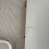 https://cdn-ostrovok-ru-ion.test.edgekey.net/t/100x100/hotel_review/f5/69/f5694025b91fe02d8c9fd08f23068366b2b53609.JPEG