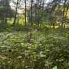 https://cdn-ostrovok-ru-ion.test.edgekey.net/t/100x100/hotel_review/f5/8c/f58c8c62232e83245f903c48255829fc1e2093d7.JPEG