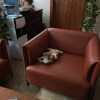 https://cdn-ostrovok-ru-ion.test.edgekey.net/t/100x100/hotel_review/f5/cd/f5cde39c31186200e08ffd38d1a4518b865f1fd9.JPEG