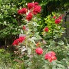 https://cdn-ostrovok-ru-ion.test.edgekey.net/t/100x100/hotel_review/f5/ed/f5ed82719ed9a934d61436c6836612496c084e6a.JPEG
