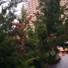 https://cdn-ostrovok-ru-ion.test.edgekey.net/t/100x100/hotel_review/f6/03/f6031e99815e864da3bdfed11070e6884ec78d5b.JPEG