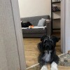 https://cdn-ostrovok-ru-ion.test.edgekey.net/t/100x100/hotel_review/f6/07/f60771e1d25f3970c1092b17d09c2d6f45d739dc.JPEG