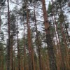 https://cdn-ostrovok-ru-ion.test.edgekey.net/t/100x100/hotel_review/f6/10/f6103a48c1879e1b4133277bfc1288a4b1f5c26b.JPEG