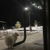 https://cdn-ostrovok-ru-ion.test.edgekey.net/t/100x100/hotel_review/f6/19/f61920b6ef50632f0bdcf895f75f7a972e2ac07b.JPEG