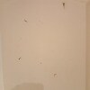 https://cdn-ostrovok-ru-ion.test.edgekey.net/t/100x100/hotel_review/f6/3e/f63e482171f7a5333901d50228e2bc798dfcc11c.JPEG