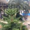 https://cdn-ostrovok-ru-ion.test.edgekey.net/t/100x100/hotel_review/f6/42/f6426c5ae421a7b3494a3cb442959e7a96b58f8a.JPEG