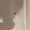 https://cdn-ostrovok-ru-ion.test.edgekey.net/t/100x100/hotel_review/f6/52/f65223274e51f2e72a0f9f0592e0cf0282f51a64.JPEG