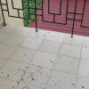 https://cdn-ostrovok-ru-ion.test.edgekey.net/t/100x100/hotel_review/f6/68/f6680cbe325215416656c40d7157b575de8a283c.jpeg