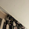 https://cdn-ostrovok-ru-ion.test.edgekey.net/t/100x100/hotel_review/f6/98/f6980bfebe0c926c8d0be8c9d3c05e611beeac23.JPEG