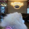 https://cdn-ostrovok-ru-ion.test.edgekey.net/t/100x100/hotel_review/f6/9c/f69cb081278d6e9326742482bebb3b5d8a535594.JPEG
