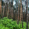 https://cdn-ostrovok-ru-ion.test.edgekey.net/t/100x100/hotel_review/f6/9f/f69f89c4ff94eafb39473c758339e548f20dad28.JPEG