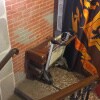 https://cdn-ostrovok-ru-ion.test.edgekey.net/t/100x100/hotel_review/f7/18/f7184f22f189c5de1b0c1ce84fba58bbecb65bbc.JPEG