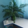 https://cdn-ostrovok-ru-ion.test.edgekey.net/t/100x100/hotel_review/f7/23/f723b194434ed9ace9c7ddadfd1c45c3fc0aaa80.JPEG
