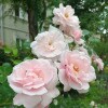 https://cdn-ostrovok-ru-ion.test.edgekey.net/t/100x100/hotel_review/f7/31/f7316172b9fc34fc5ed4abe4e018759b1c880dea.JPEG